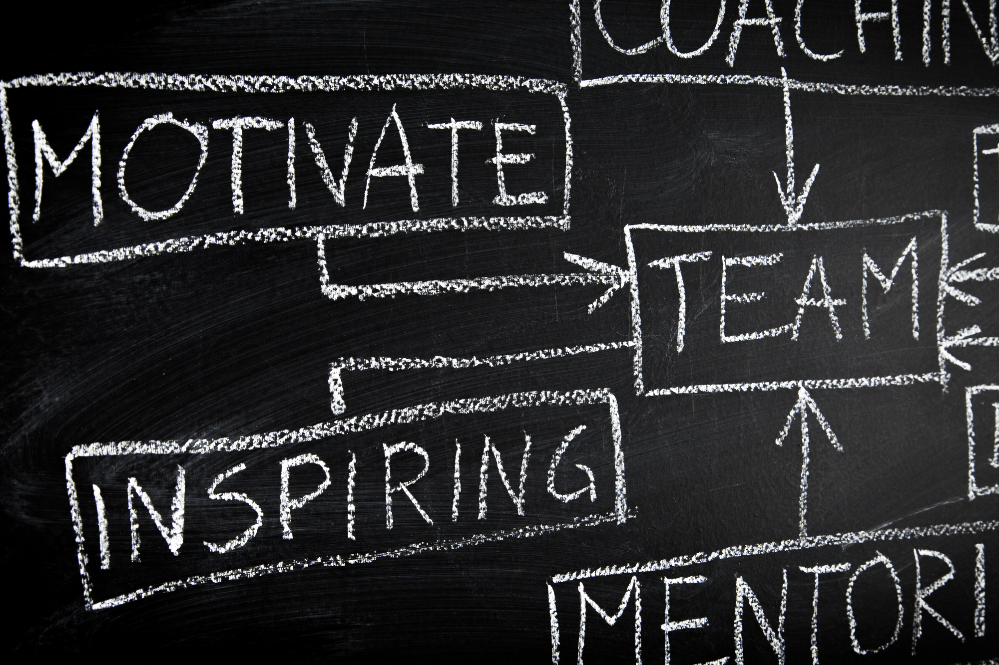 Elevate Consulting Team Performance
